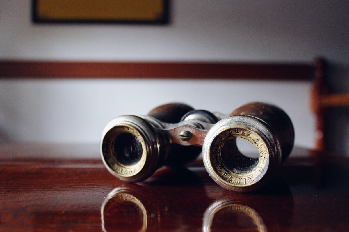 vintage brown binoculars